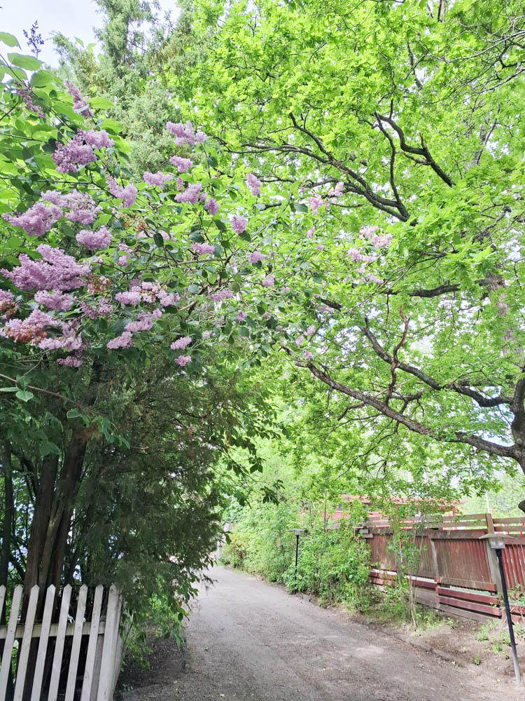 Tunnelmallinen piha Helsingin Tapanilassa